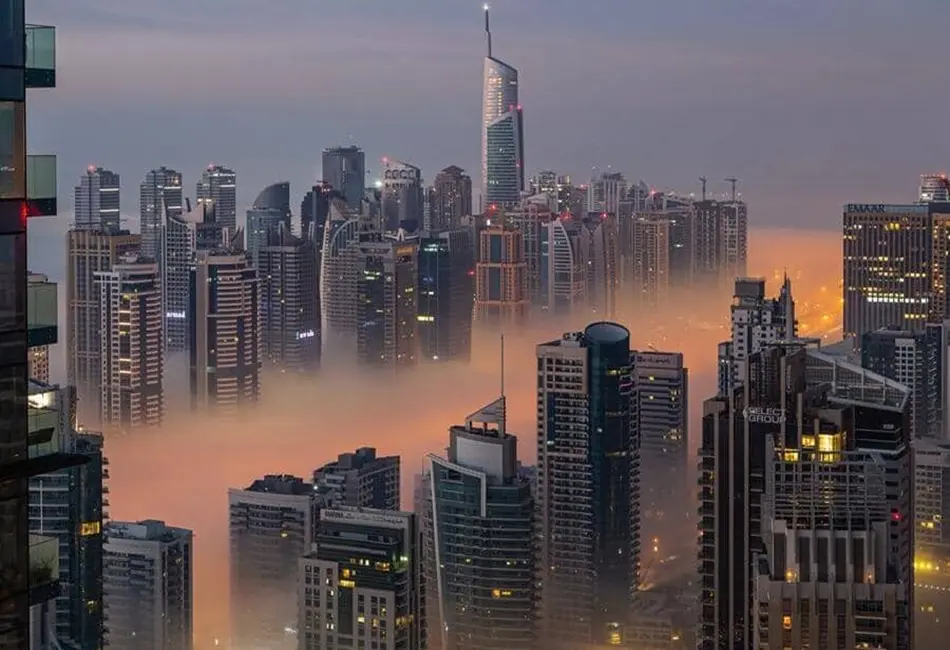 Rapid Population Growth