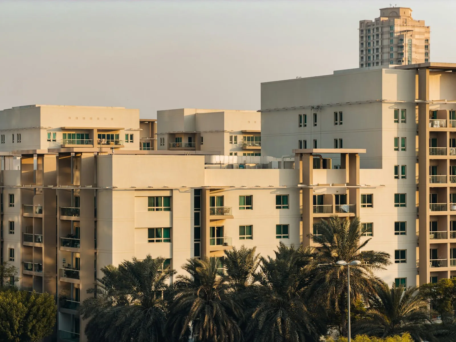 Dubai holiday home permit: apartment buildings with balconies and palm trees in Dubai