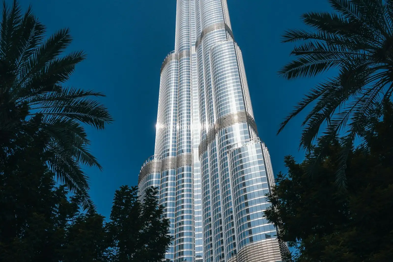 Skyscraper tower in Dubai seen through palm trees - verify a real estate agent in Dubai